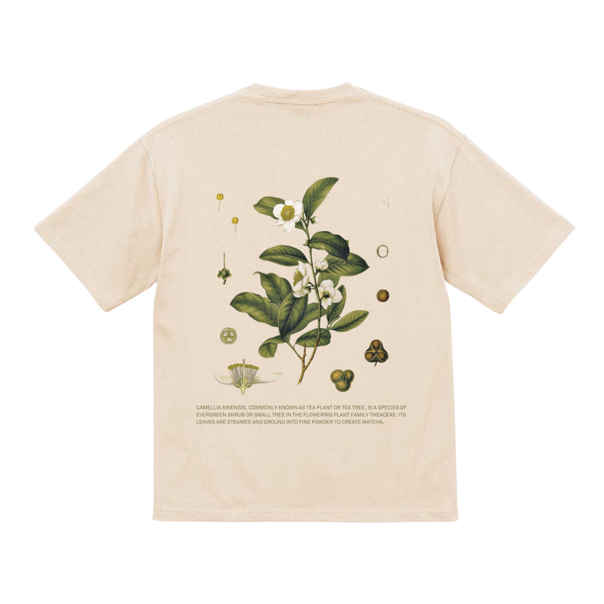 Matcha Tea Plant T-shirt